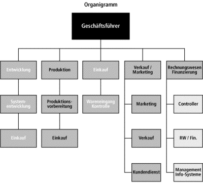 beispiel eines organigramms